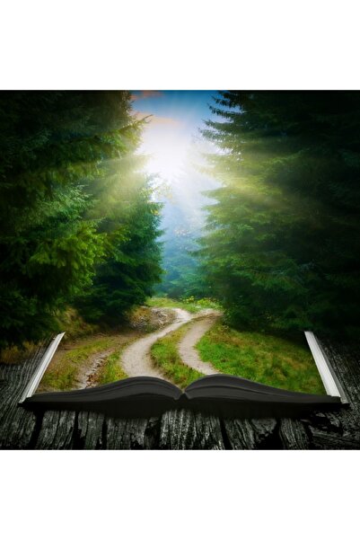 media Tablou canvas Padure, carte, educatie, 60 x 60 cm