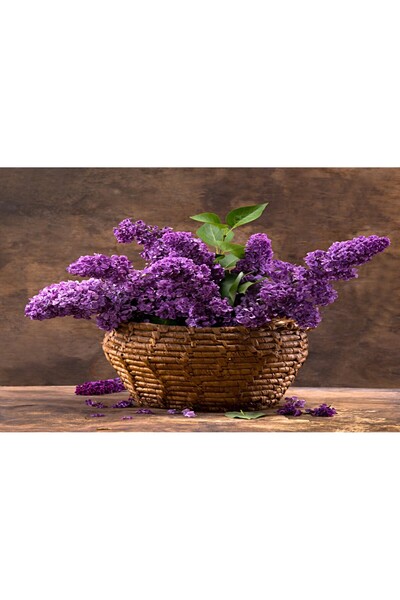 media Tablou canvas Flori liliac, cos impletit, buchet2, 105 x 70 cm