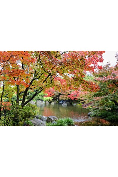 media Tablou canvas Padure5, 45 x 30 cm