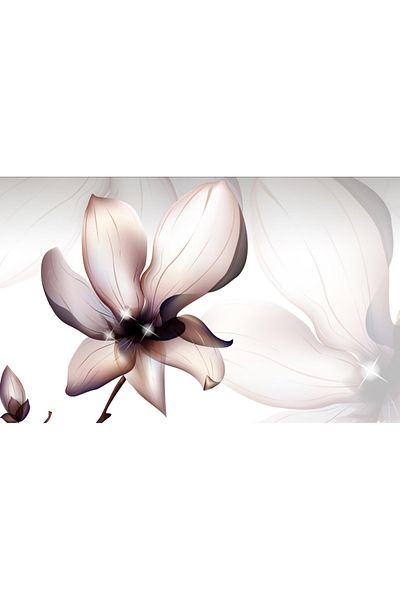 media Canvas painting Magnolia flower, 60 x 40 cm