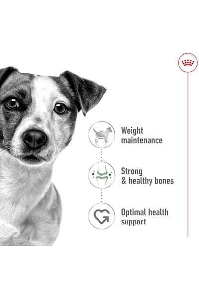 Royal Canin Size Health Nutrition Mini Adult Dry Dog Food - 2Kg