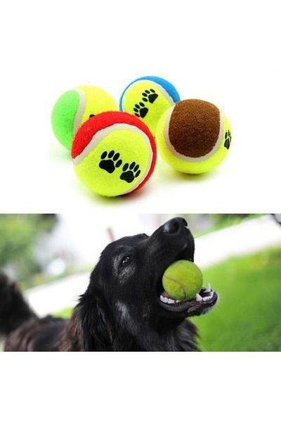 ForWhat Colorful Pattern Cat Dog Toy with 3 Tennis Balls for Office Home Pet