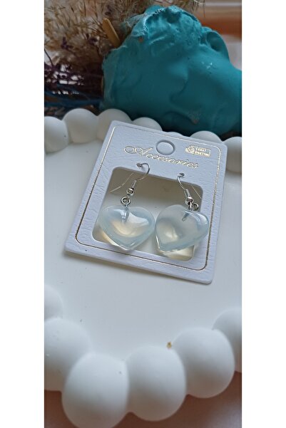 Jewerly Steel earrings