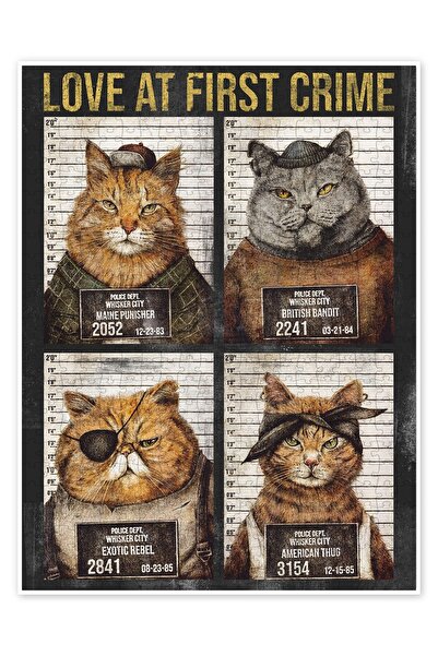 Jeronkarji Kediler İlk Suçta Sever I 500 Parça Puzzle Yapboz Kedi Köpek Temal...