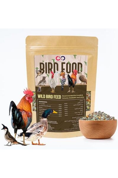SKY TOUCH Brandsfinity 1kg Premium Bird Food for Wild Birds - Wild Dove, Pigeon & Others