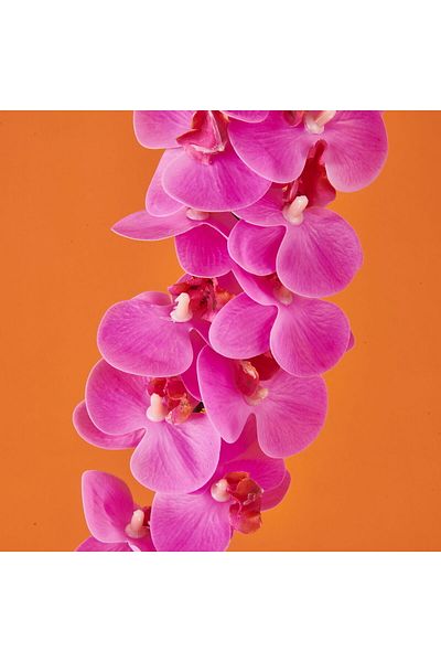 Herdekora Orchid Artificial Flower - Pink - 58 cm