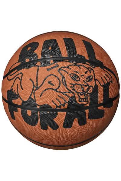 Nike Everyday Playground 8P Graphic Ball, Unisex Basketball ball
