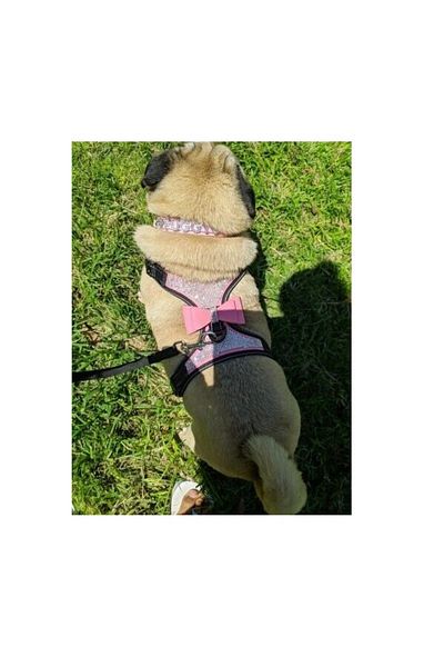 Nonbranded Zgardă tip ham în stil bijuterie cu strasuri și fundă pentru câini de talie mică, căței, pisici sau alte animale