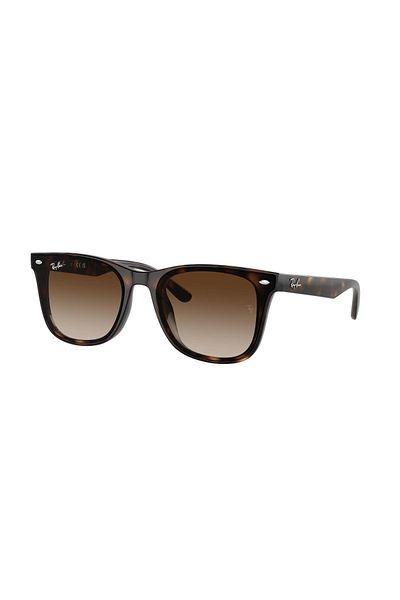 Ray-Ban 0rb 4420 710/13 65 Unisex Sunglasses