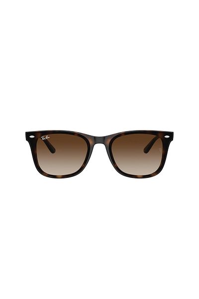 Ray-Ban 0rb 4420 710/13 65 Unisex Sunglasses