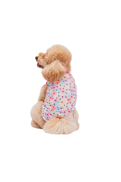 Pawstar Spring Flowers Kedi Köpek Tişört