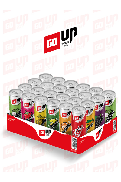 GoUp 24’lü 330 ml Karışık Gazlı İçecek Deneme Kolisi