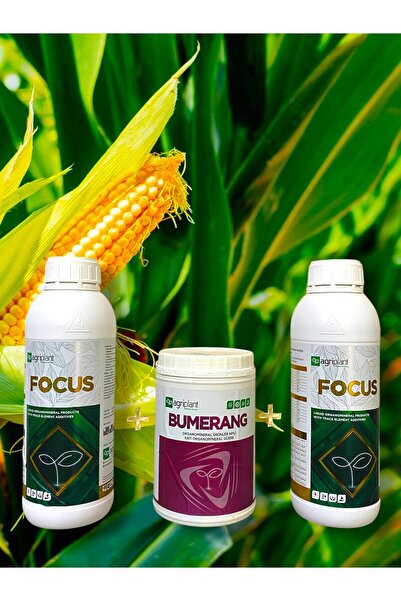 AGRİMETA TARIM 2 Litre Focus Ve 1 Adet Bumerang (MISIR PRO 10 DA)