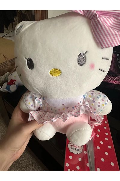 Choice 25cm-b Sanrio Hello Kitty Kuromi Baby Stuffed Toys Anime Plush Toys Throw Pillow Kids Car Decoration