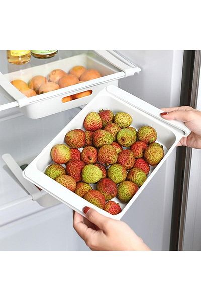 SMARTECH Organizer Box for 12 Eggs, Shelf Attachment System