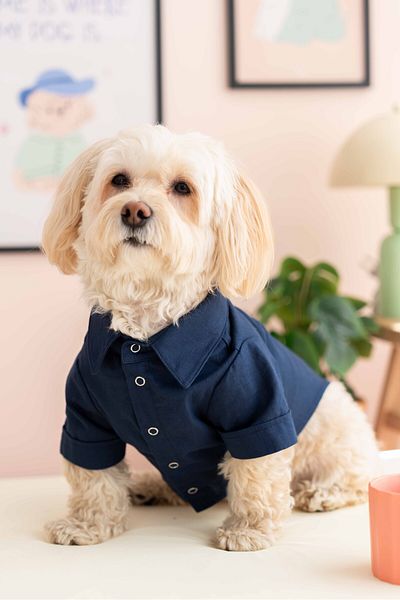 Lorico Dog Outfit - Dog Shirt (100% Cotton Linen)