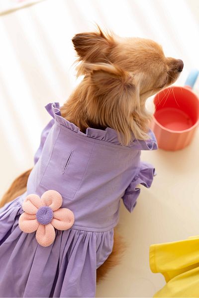 Lorico Dog Dress - Dog Outfit (Floral Dress)