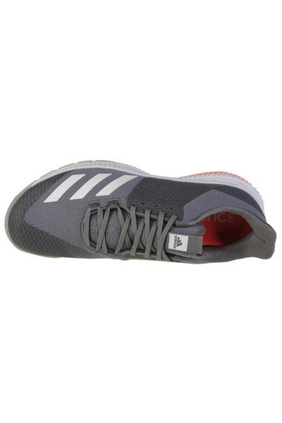 adidas Crazyflight Bounce 3, Unisex Volleyball shoes