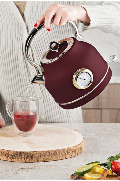 Berlinger Haus Retro Electric Kettle With Thermometer For Hot Water 1.7 L Leonardo Collection Stainless Steel