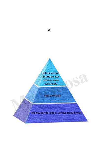 Bargello No:451 + Aşk6 Unisex / Erkek Parfüm Edp 50 ml Fresh - Mnms50no451ask6