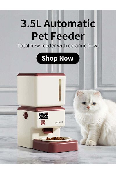 PetPeer وحدة تغذية الحيوانات الأليفة PETWANT، تحكم واي فاي للقطط، تسجيل صوت الكلب، وعاء واحد للبطارية، الاتصال بتطبيق Tuya