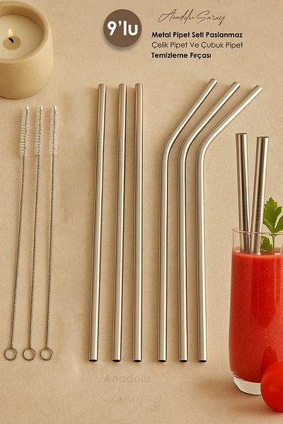 Anadolu Saray 9 Pieces Metal Pipette Set Stainless Steel Pipette and Stick Pipette with 3 Pcs Cleaning Brush