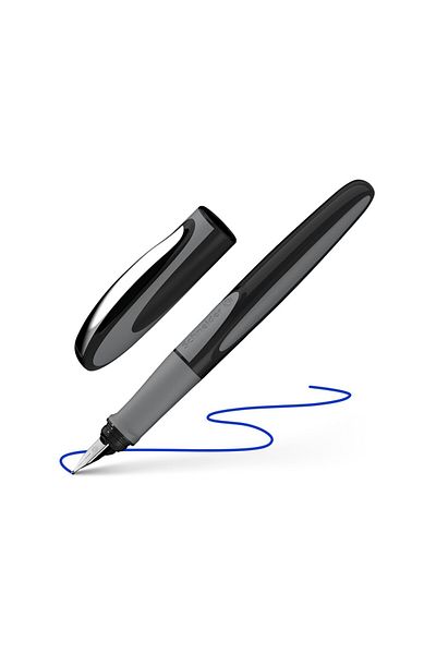SCHNEIDER Ray Onix pen