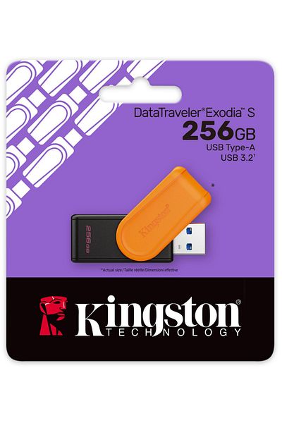 Kingston ذاكرة فلاش Datatraveler Exodia S 256 جيجابايت DTXS USB3.2 Gen.1 USB