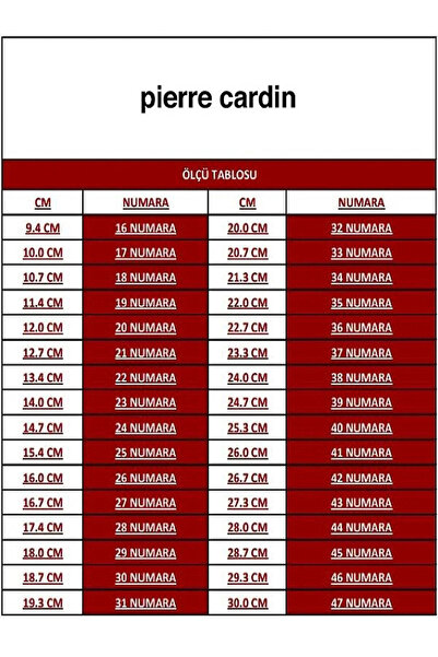 Pierre Cardin 6992 Model Daily Summer Men's Slippers - Two Buckles