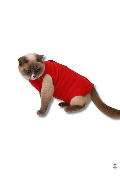 Patili Avm Cat Dog Postoperative Protection Coverall – Comfortable and Durable with Velcro