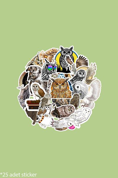 dadi ramba Owl Owl Bullet Journal - Agenda - Planner - Notebook - Laptop Sticker Sticker - Sticker Pack