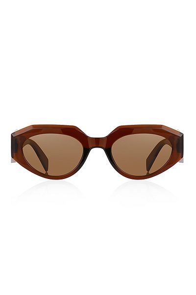Kinary Unisex Sunglasses Brown Shiny 1039