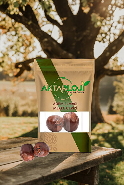 aktarloji 3 Adet Adem Elması ( Mekke Cevizi - Dogum Meyvesi )