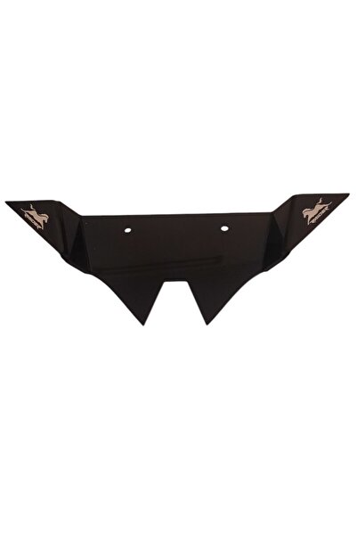 TVS Raider 125 Kanat Winglet | Logolu