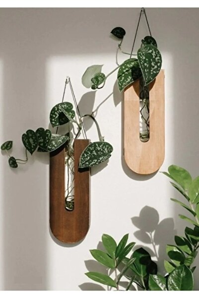 LİONSE Ahşap Dekoratif 7 Adet Duvar Çiçekliği Çiçekler Dahil Değildir