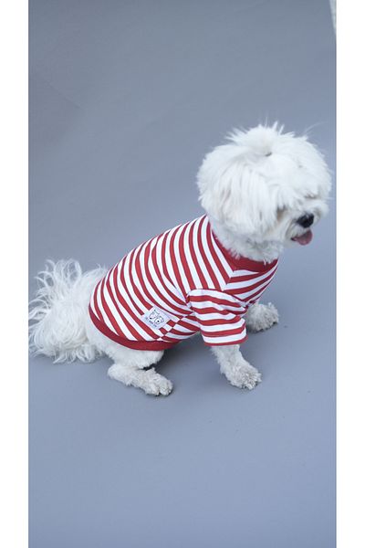 Oli and Lui Red White Striped Dog Tshirt