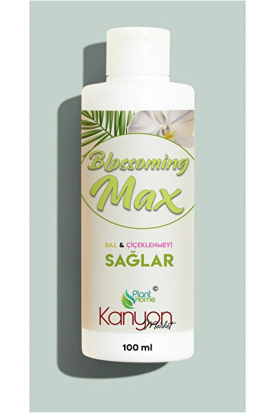 Genel Markalar Blossomingmax - Orkideler İçin Dal Ve Çiçek Destekleyici Premi...