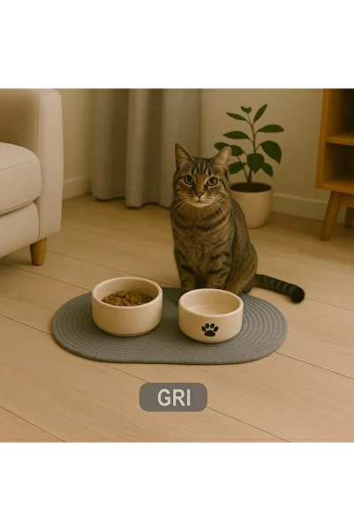 ÖRGÜM Cat Food Mat and Mat - 50X30 cm