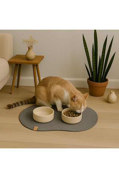 ÖRGÜM 50x30 cm Cat Feeding Mat - Placemat