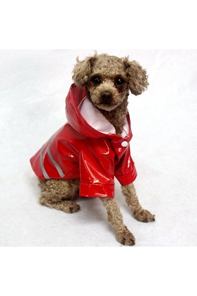 Nonbranded Pelerină de ploaie pentru câini/animale de companie, pisici sau alte animale, reflectorizantă, cu glugă, mărimea L