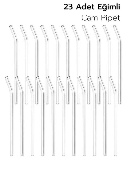 ARVALE 23 Slanted Glass Pipettes