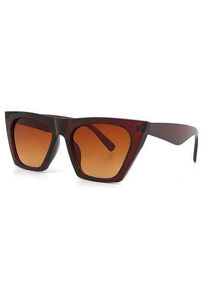 Aqua Di Polo 1987 Καφέ γυναικεία γυαλιά ηλίου Cat Eye APSS 053300