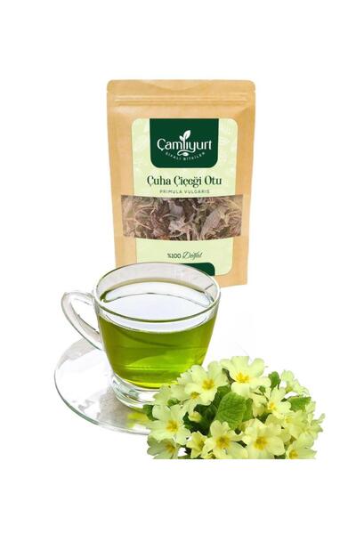 köydekiadam Çuha Çiçeği Otu (PRİMULA VERİS)