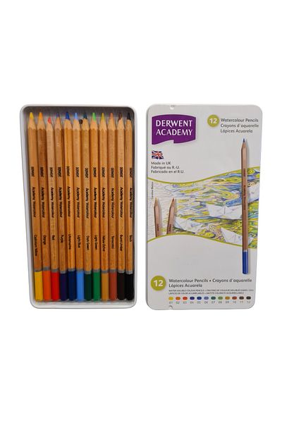 Derwent Academy Professional 12-Piece Dilutable Dry Paint Set (12' Watercolor Pencils)