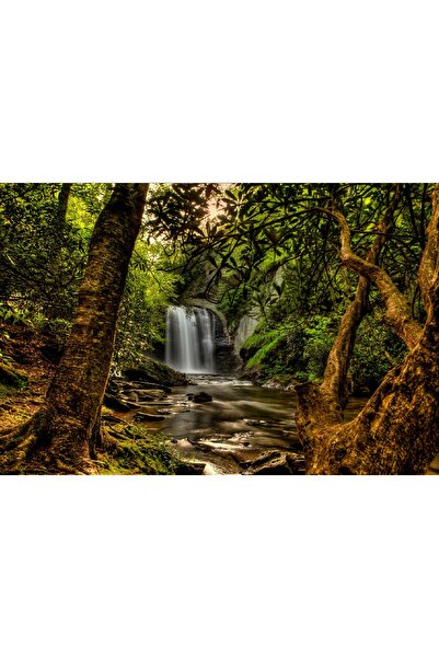 media Fototapet de perete autoadeziv si lavabil Mica cascada din padure, 270 ...
