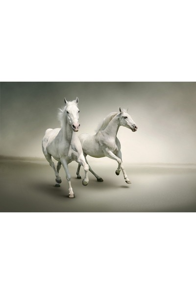 media Autocolant Cai albi in galop, 220 x 135 cm