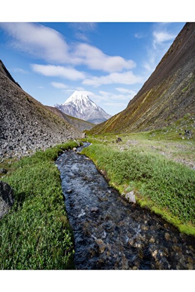 media Fototapet Natura80, 150 x 205 cm