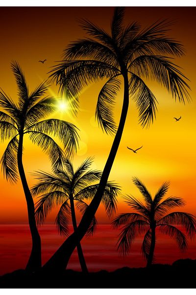 media Wallpaper Palm trees8, 200 x 255 cm