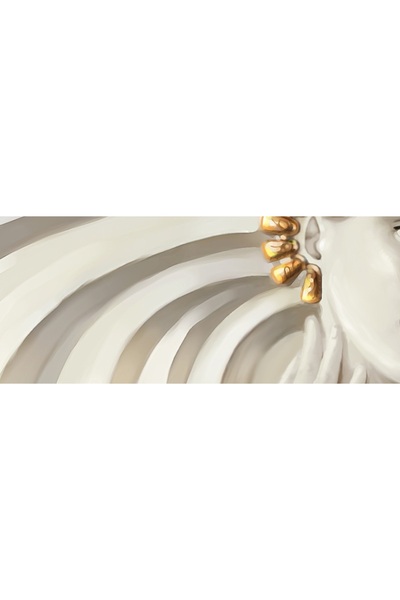 media Wallpaper Goddess Medusa, 250 x 200 cm