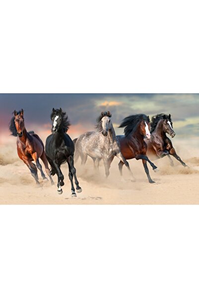 media Fototapet autocolant Turma de cai, galop, desert, nisip, 250 x 150 cm